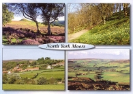 North York Moors A5 Greetings Cards